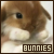 bunnies