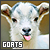 goats