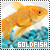 goldfish